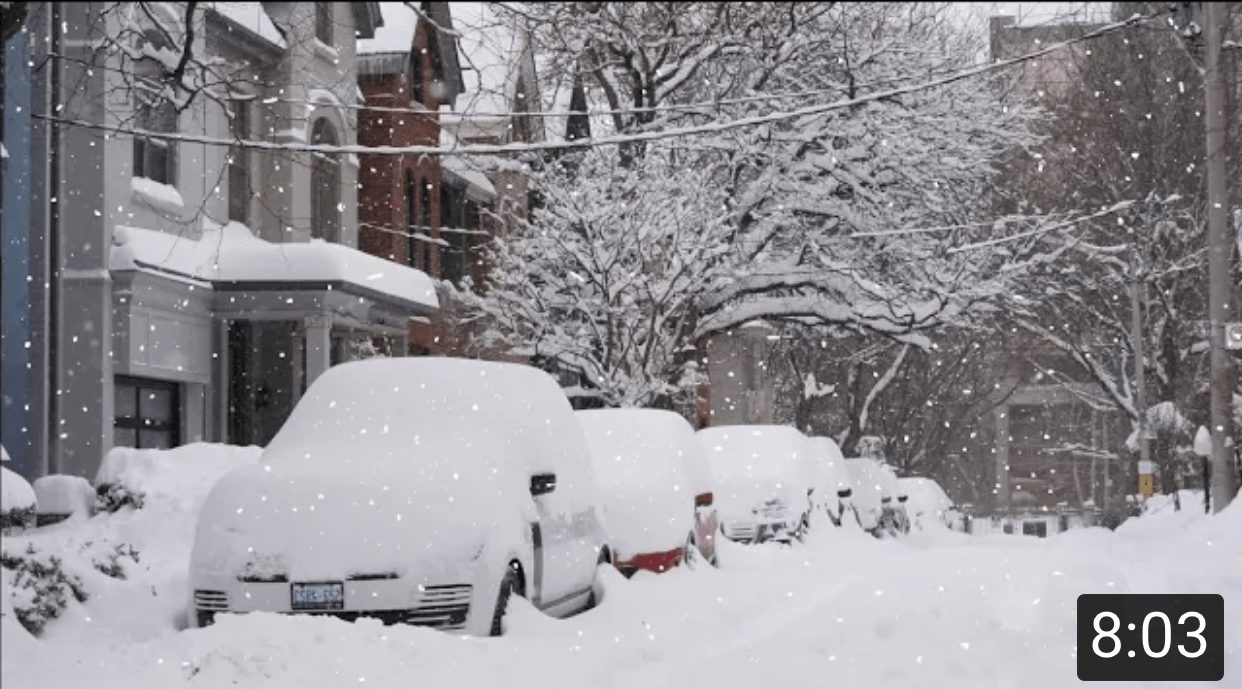 拜登|残酷的雪景，惨兮兮的美感