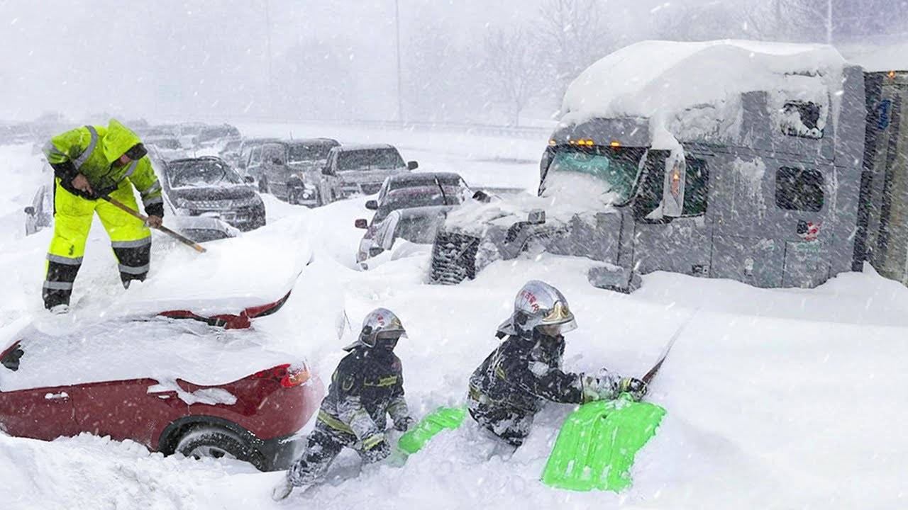 拜登|残酷的雪景，惨兮兮的美感
