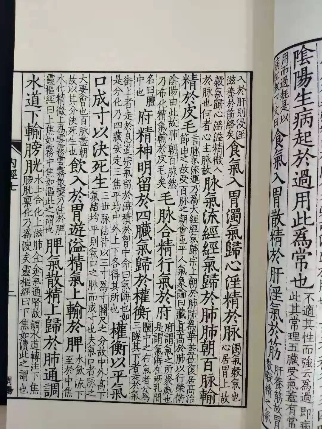 黄帝内经素问图片