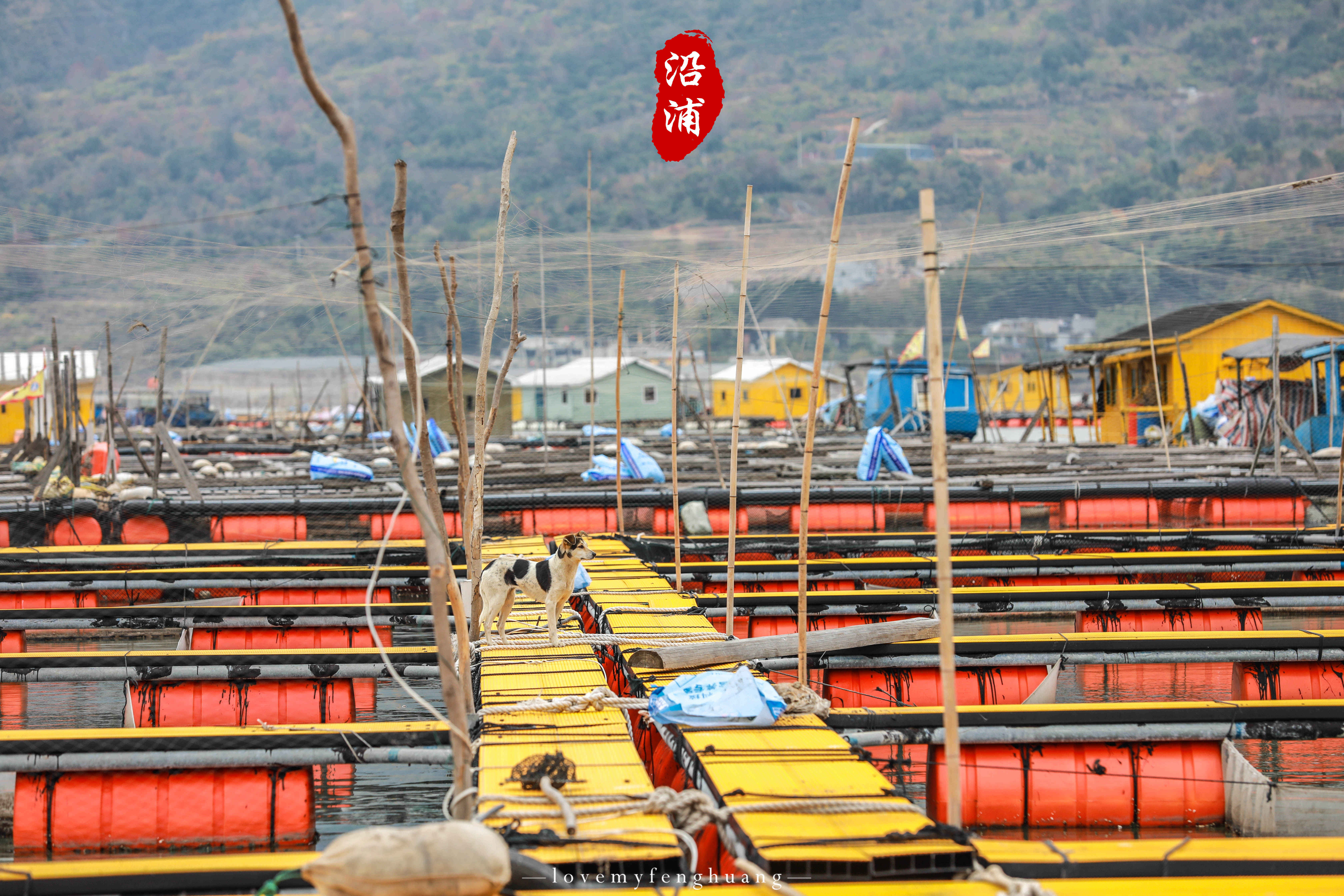 阳光|冬天的浙江沿浦，深受温州本地摄影师喜爱，还被誉为“浙江霞浦”