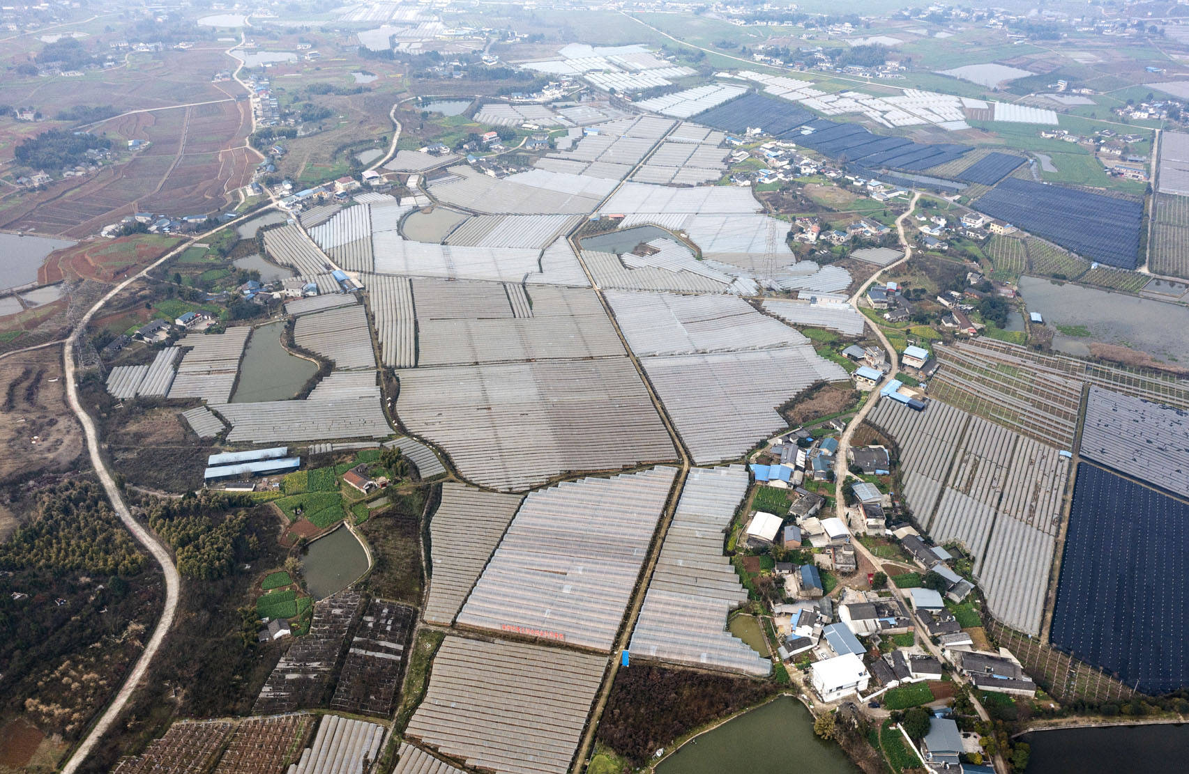 綿陽發陽農場:搶抓農時 春耕忙_地膜_田間管理_田地