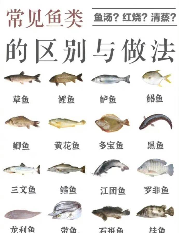 鱼 究竟有多棒 常见食用鱼类的区别和做法 附图 物种 脊椎动物 高两倍