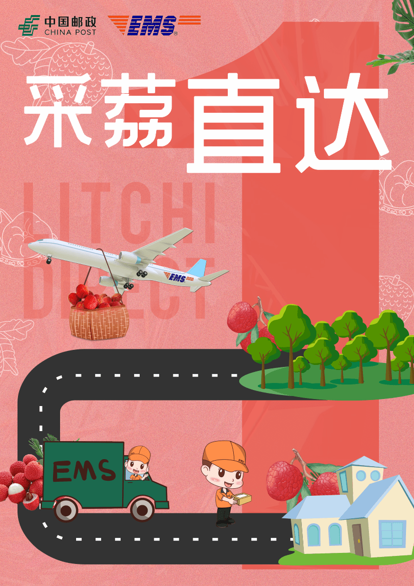 平面 品牌设计 | 创孵优秀案例展示