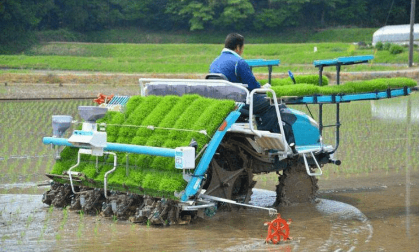 春耕簡報水稻插秧機