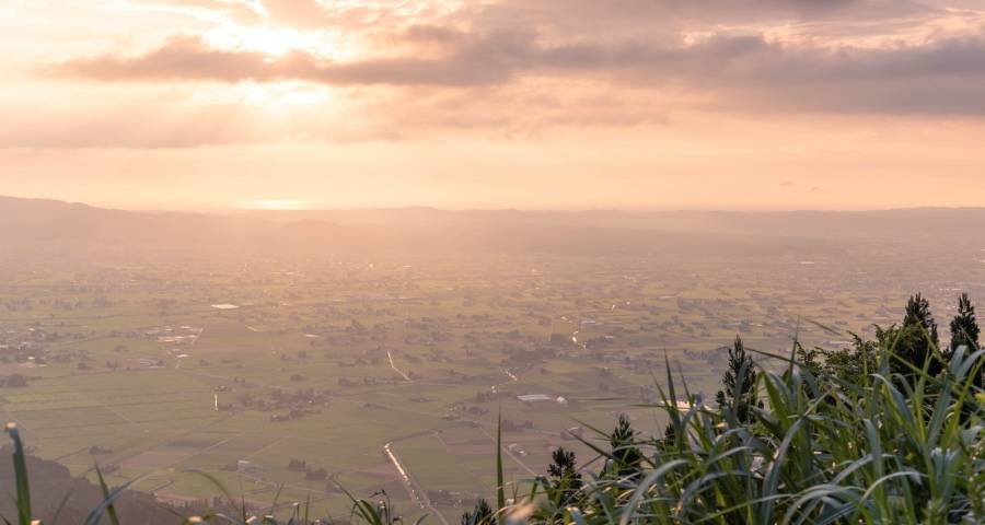 今年家电厂商最重要的事情就一件：零售为王-家电圈官网