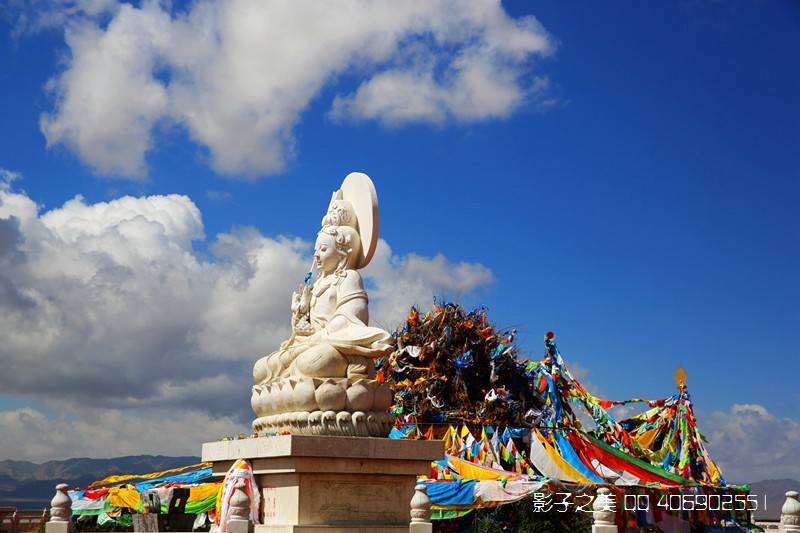 活化石|奇妙旅行 神州多彩盐景观