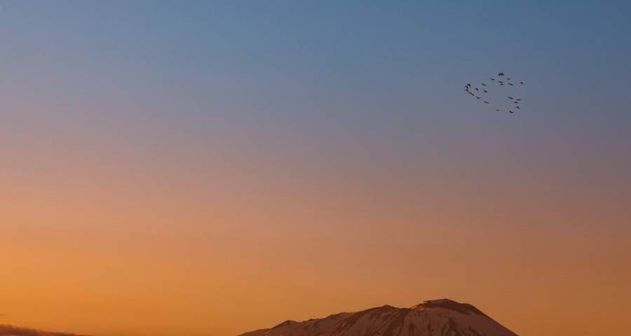 家电市场必须要打破“三无僵局”-家电圈官网