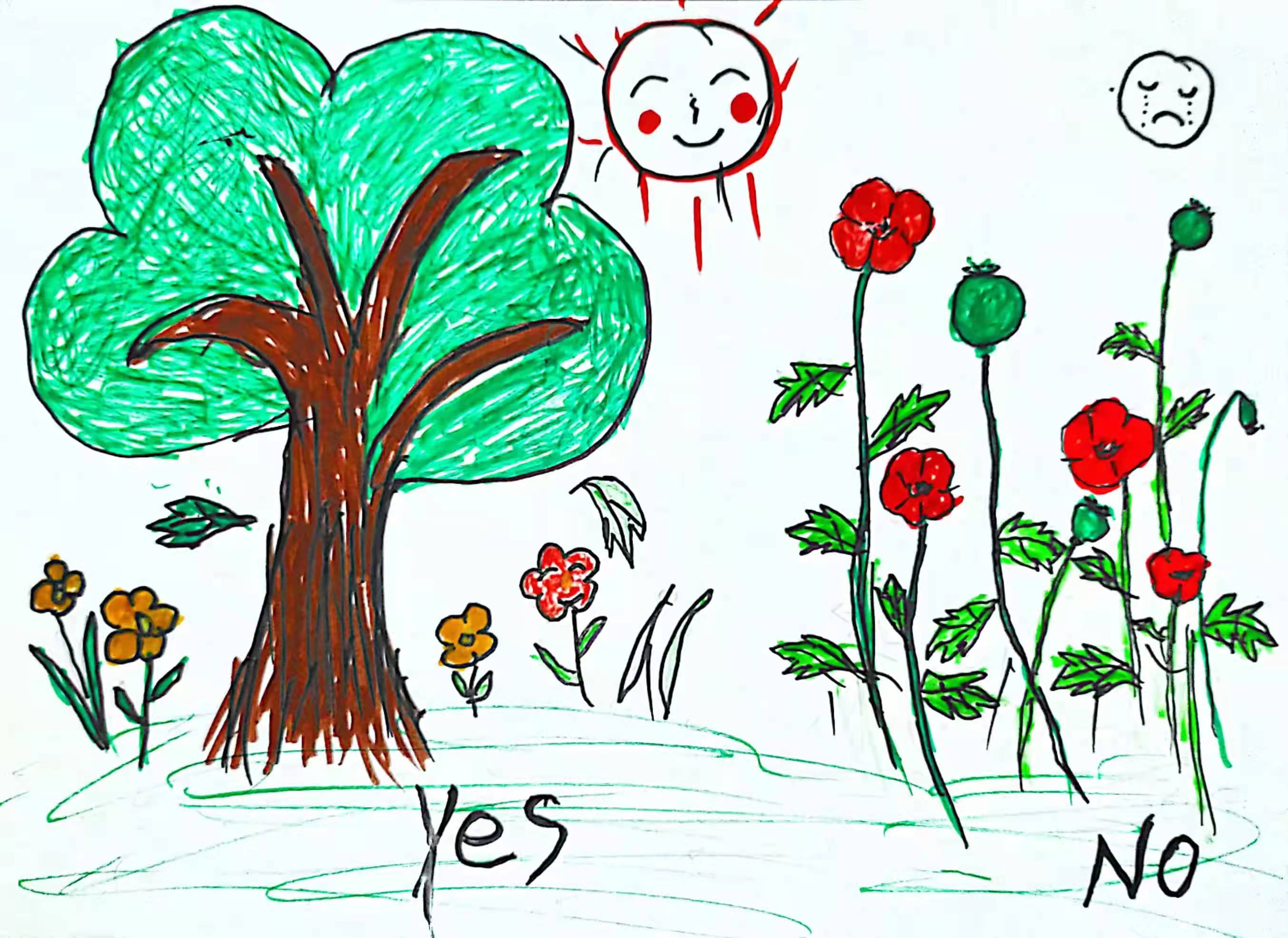 种树不种毒,健康享人生——黄贝街道线上绘画活动