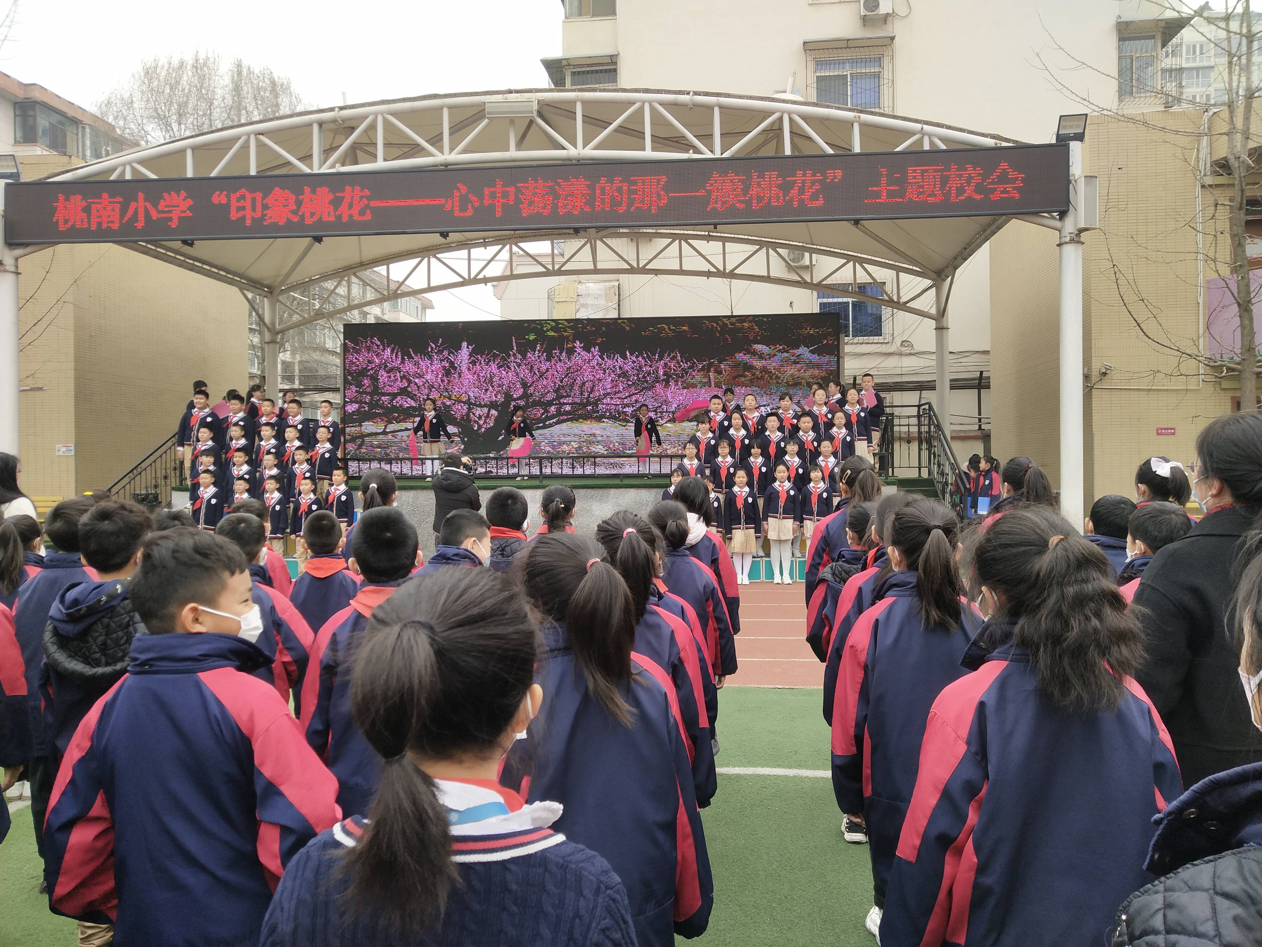 桃花|迎泽区桃南小学诗词朗诵主题校会： 《心中荡漾的那一簇桃花》