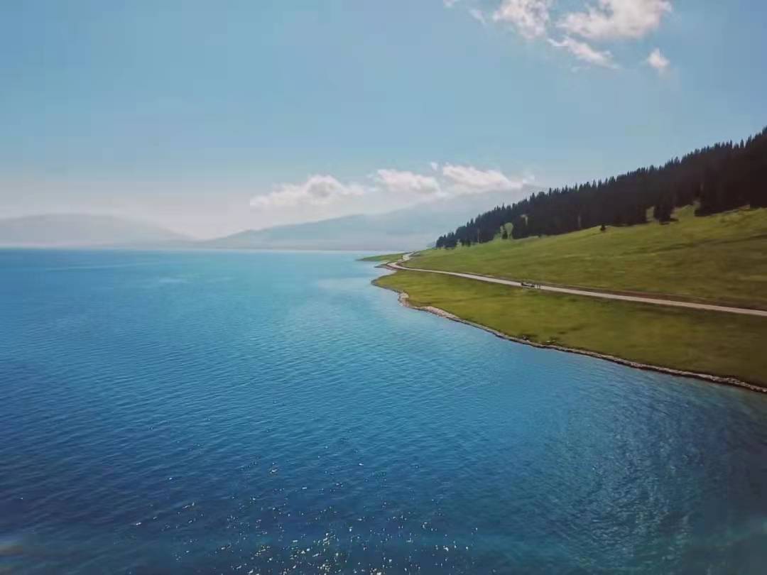 总账,现金日记账,银行存款日记账,多栏式明细,往来明细账(行政单位