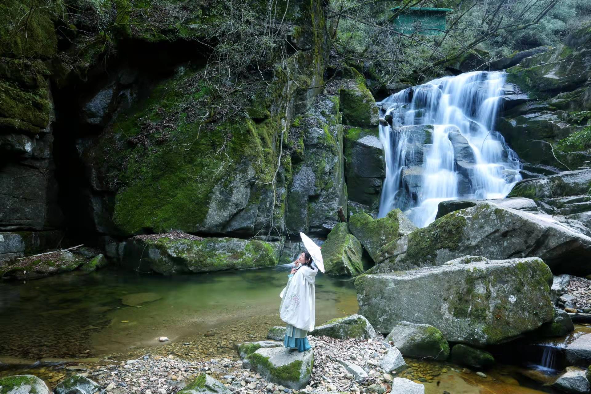 四海|恰是春游好时节 一起来商洛木王山国家森林公园探寻春天的美好