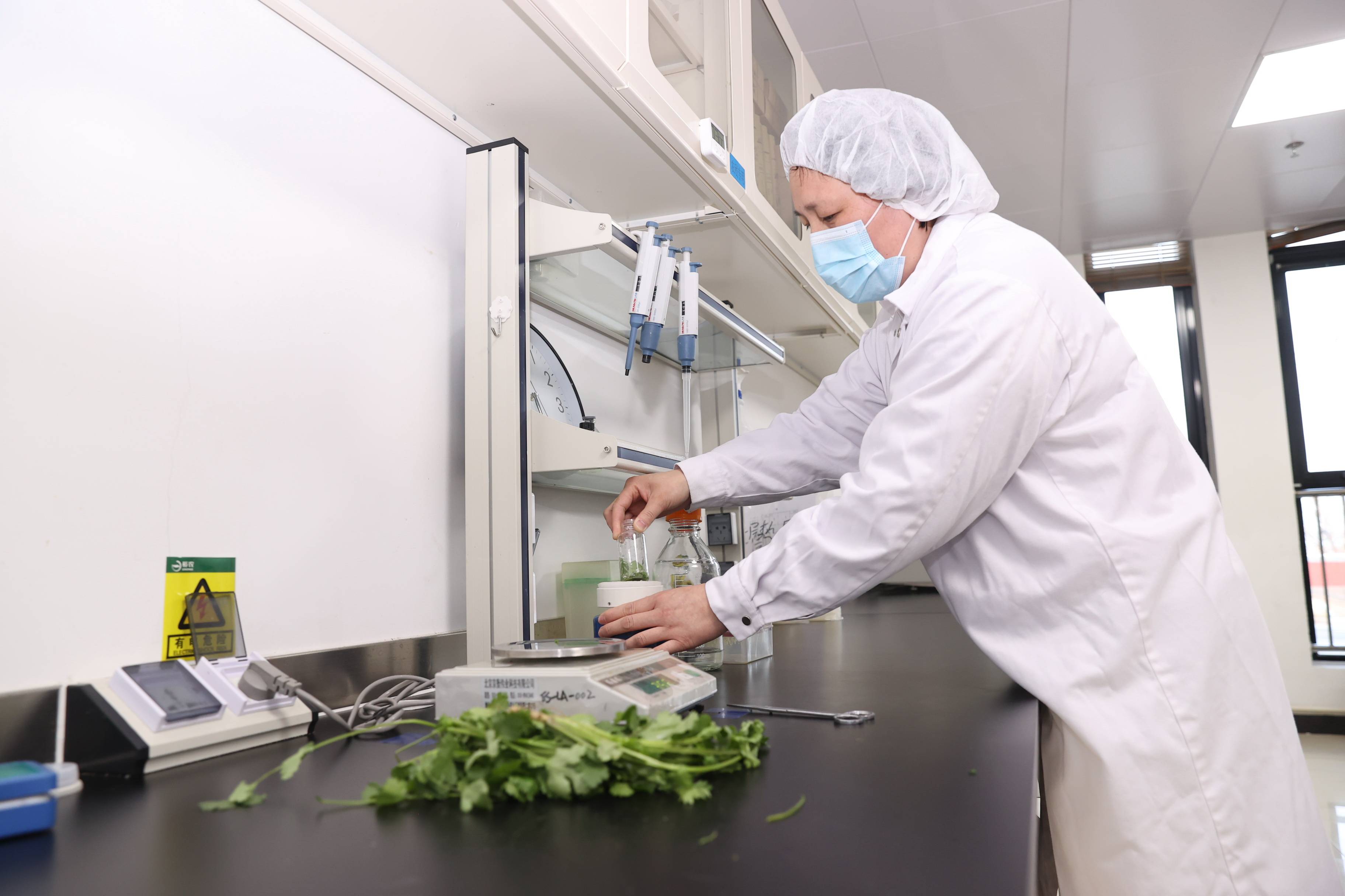 检验员在检测蔬菜农药残留的前处理.返回搜狐,查看更多