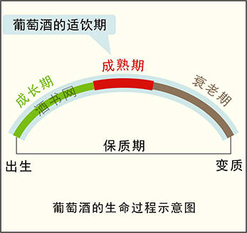 食品类|葡萄酒有保质期吗？