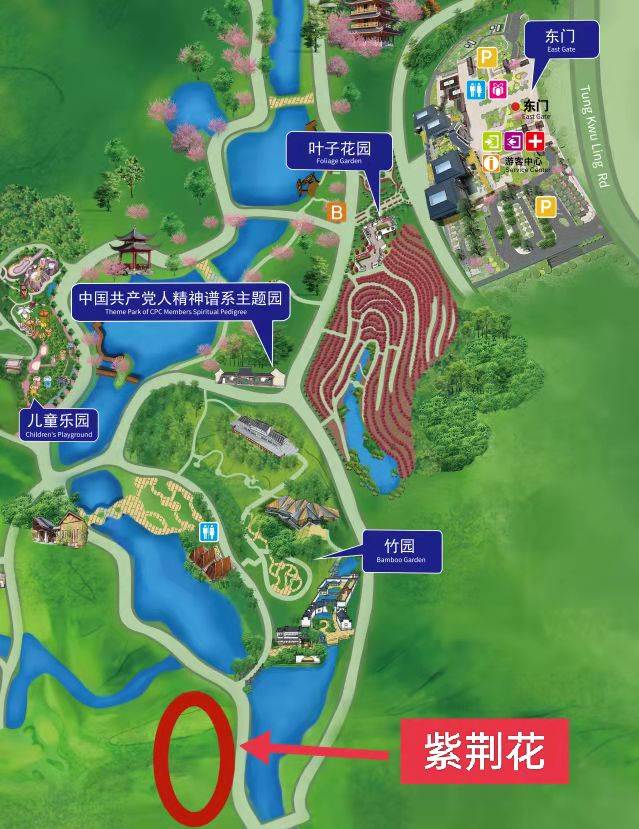 青秀山地图 路线图图片