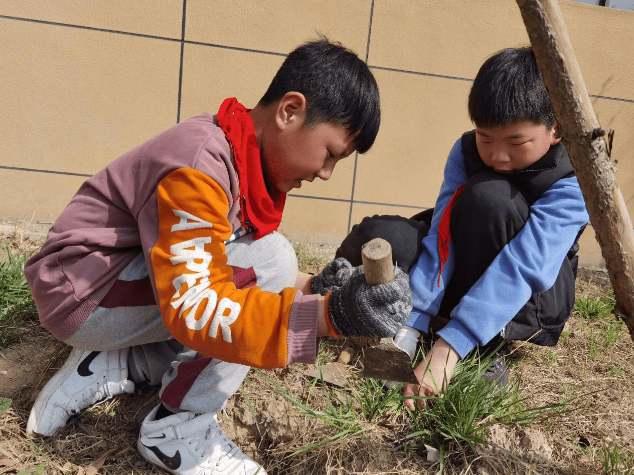 美化校园小能手拔草护绿我能行凤鸣路小学校园除草活动掠影