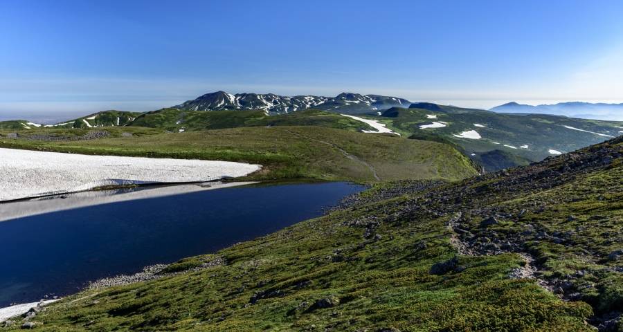 家电企业要重构中层管理者，推向一线市场帮助商家出货-家电圈官网