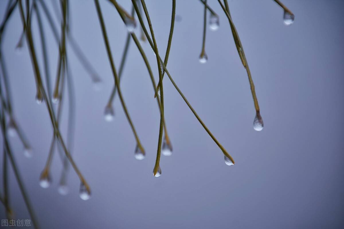第一场春雨带来春天的希望