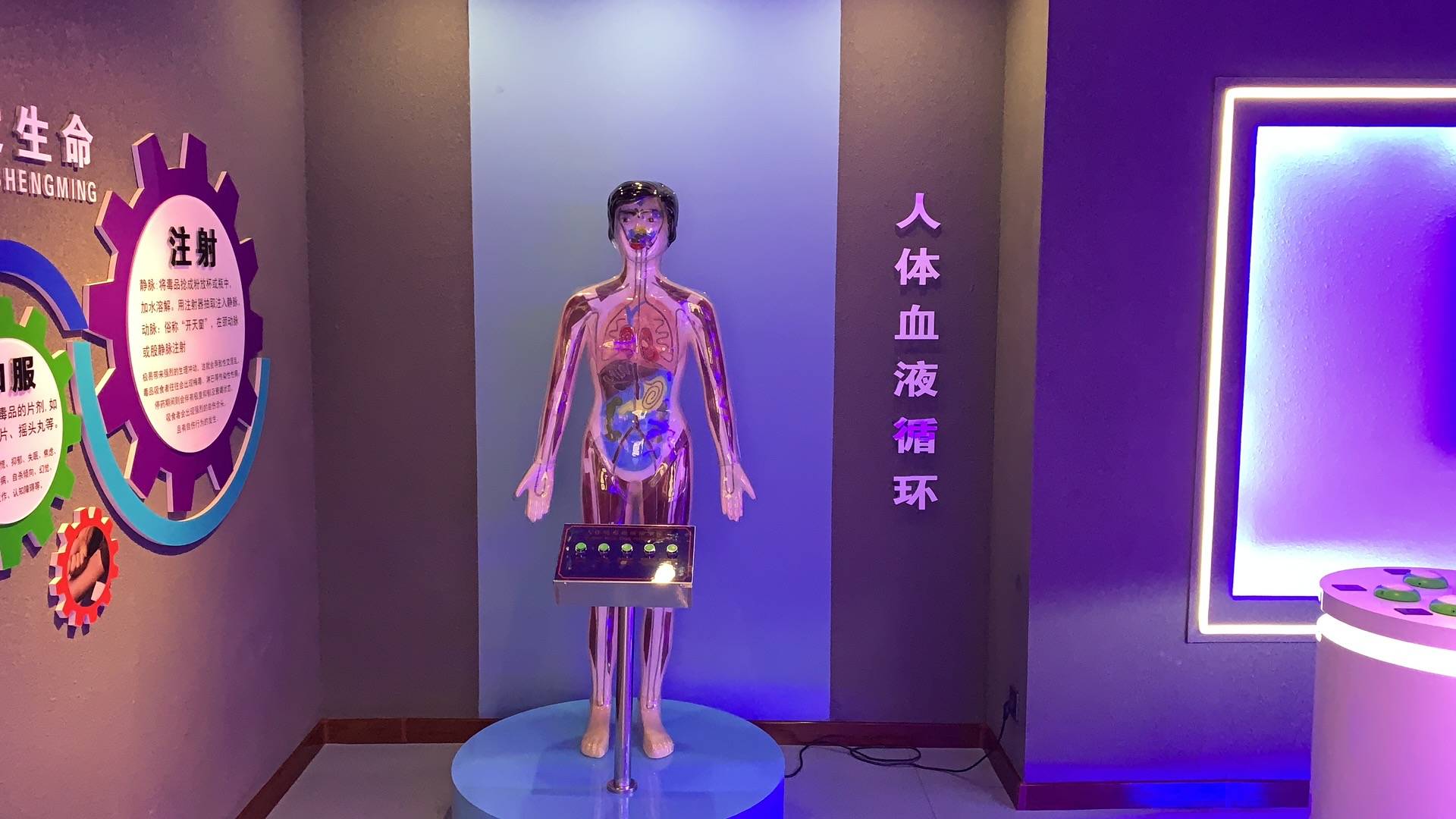 禁毒人体模型禁毒人体模型仿真禁毒模型展示禁毒室仿真毒品模型