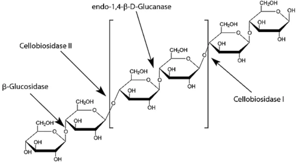 葡糖苷物理化学性质:分子式:c12h13no7分子量:283.234精确质量:283.