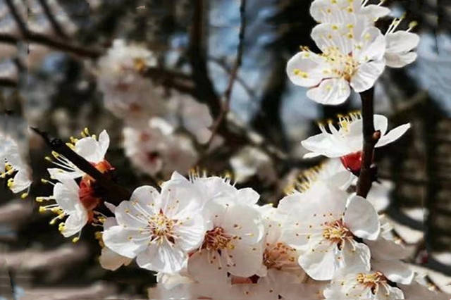 青年节的同学会：一年，就是一生