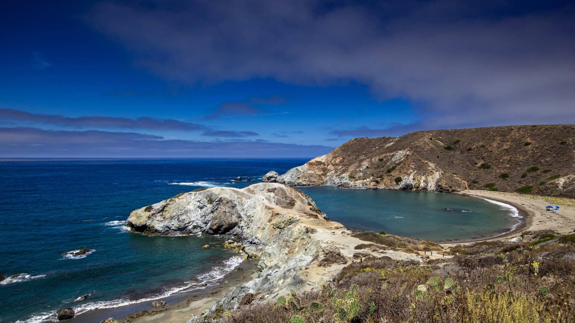 卡塔利娜鲸鱼湾5k动态壁纸