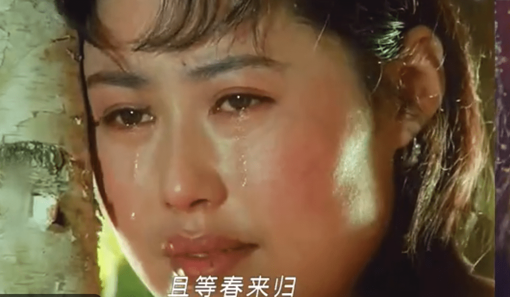 归心似箭荡涤心灵的国产片斯琴高娃银幕首秀柔情演绎抗战故事