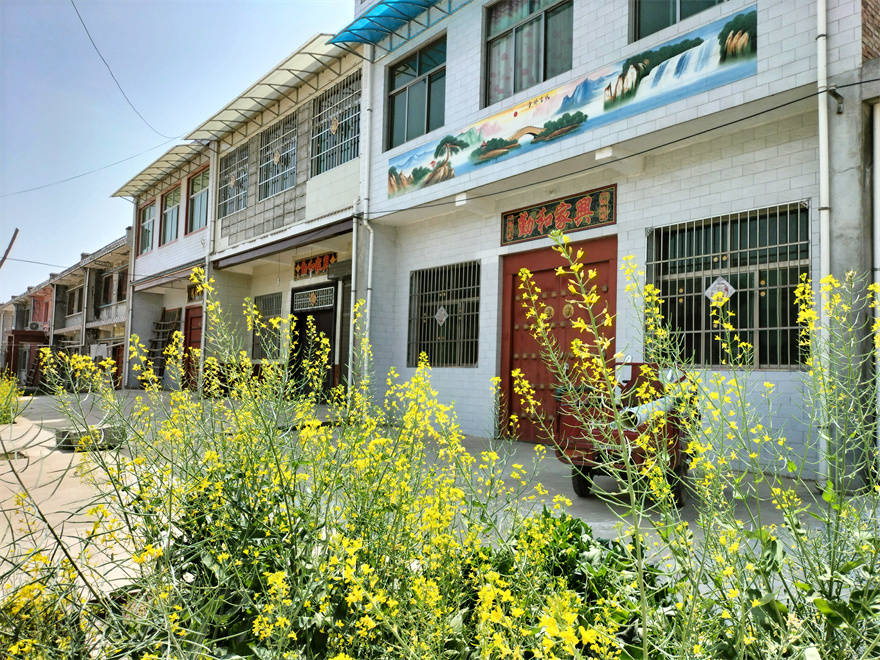 兴平赵村镇产业发展百花齐放乡村振兴活力增强