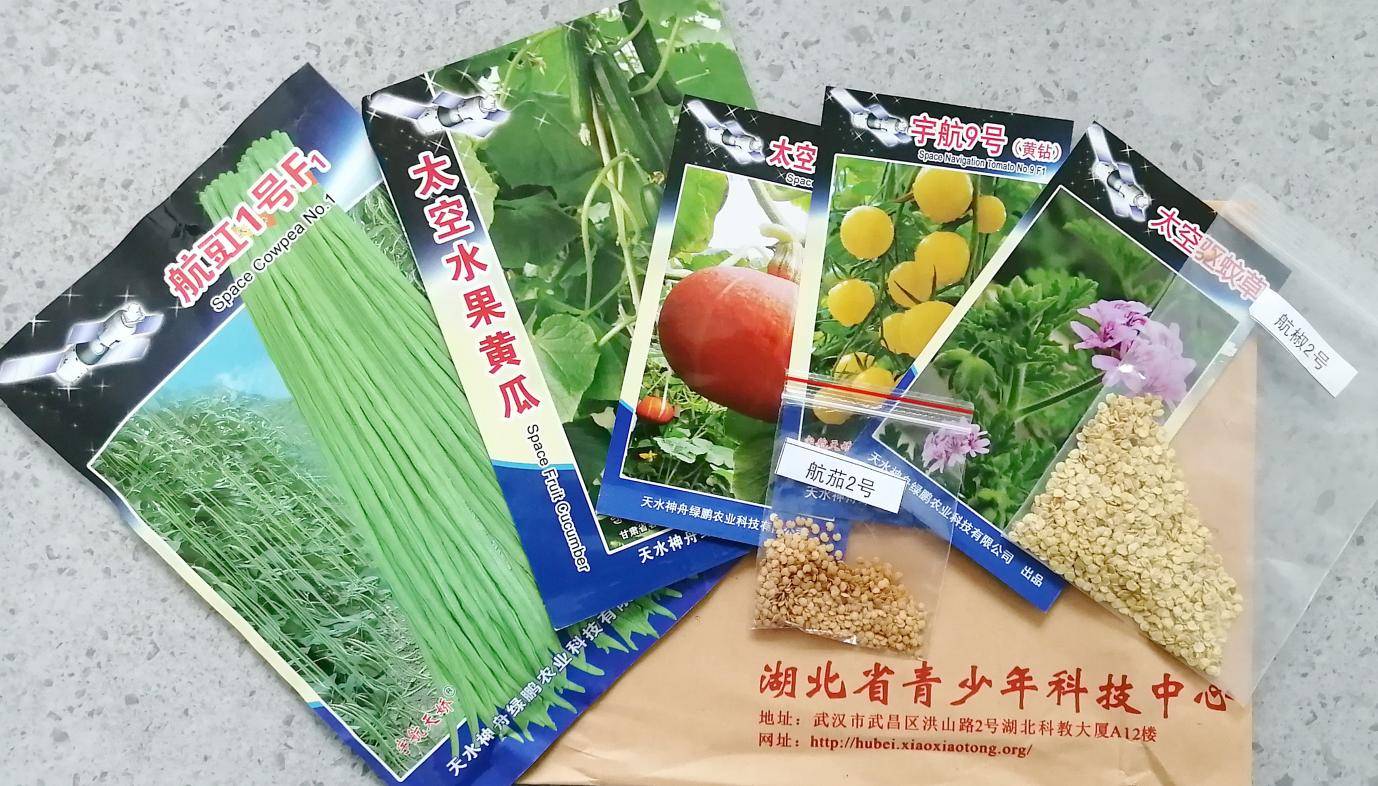 太空种子种植项目落户襄阳高新区刘集小学