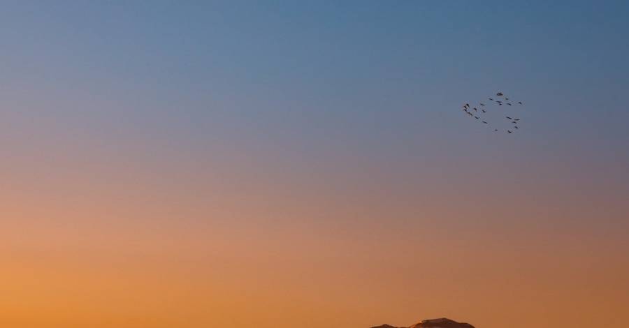 家电获补贴，卡萨帝海信夏普冲刺，东芝火星人帅丰小熊德昌交答卷-家电圈官网