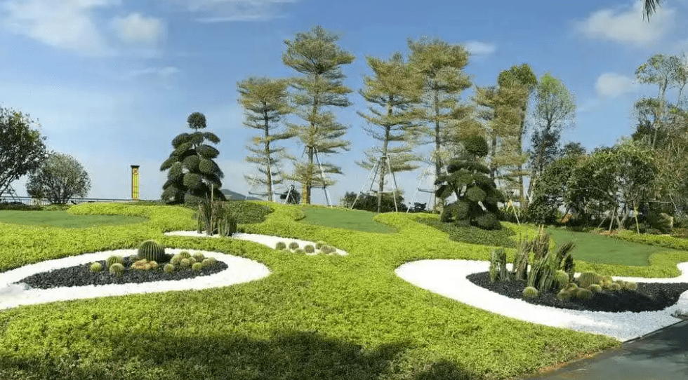 绿化工证怎么报名在哪里报考