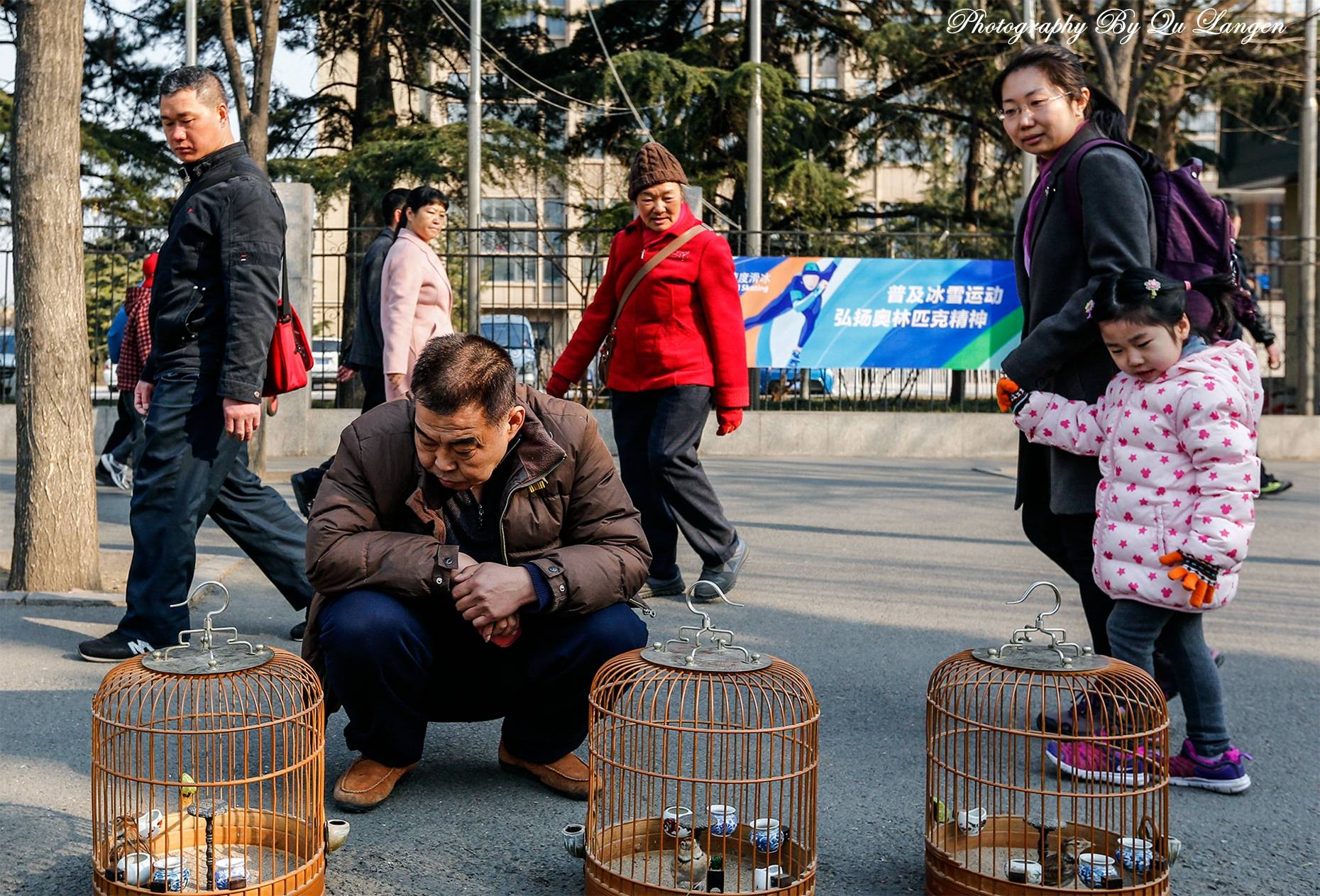 京城市井生活之一:京城遛鸟人_鸟笼_北京_布罩