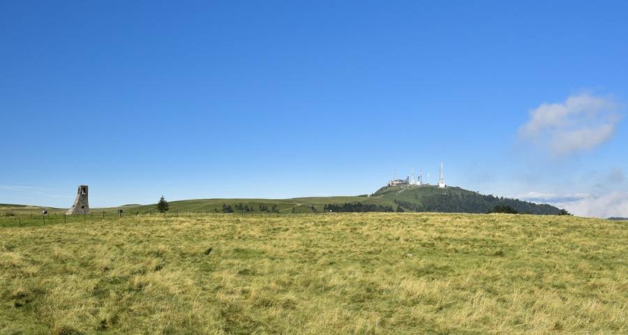 困难不重要家电厂商必须瞄准出货干-家电圈官网