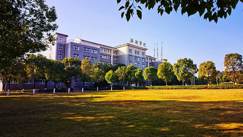 别抱怨努力的苦,那是你看世界的路——合肥滨湖职业技术学院_办学