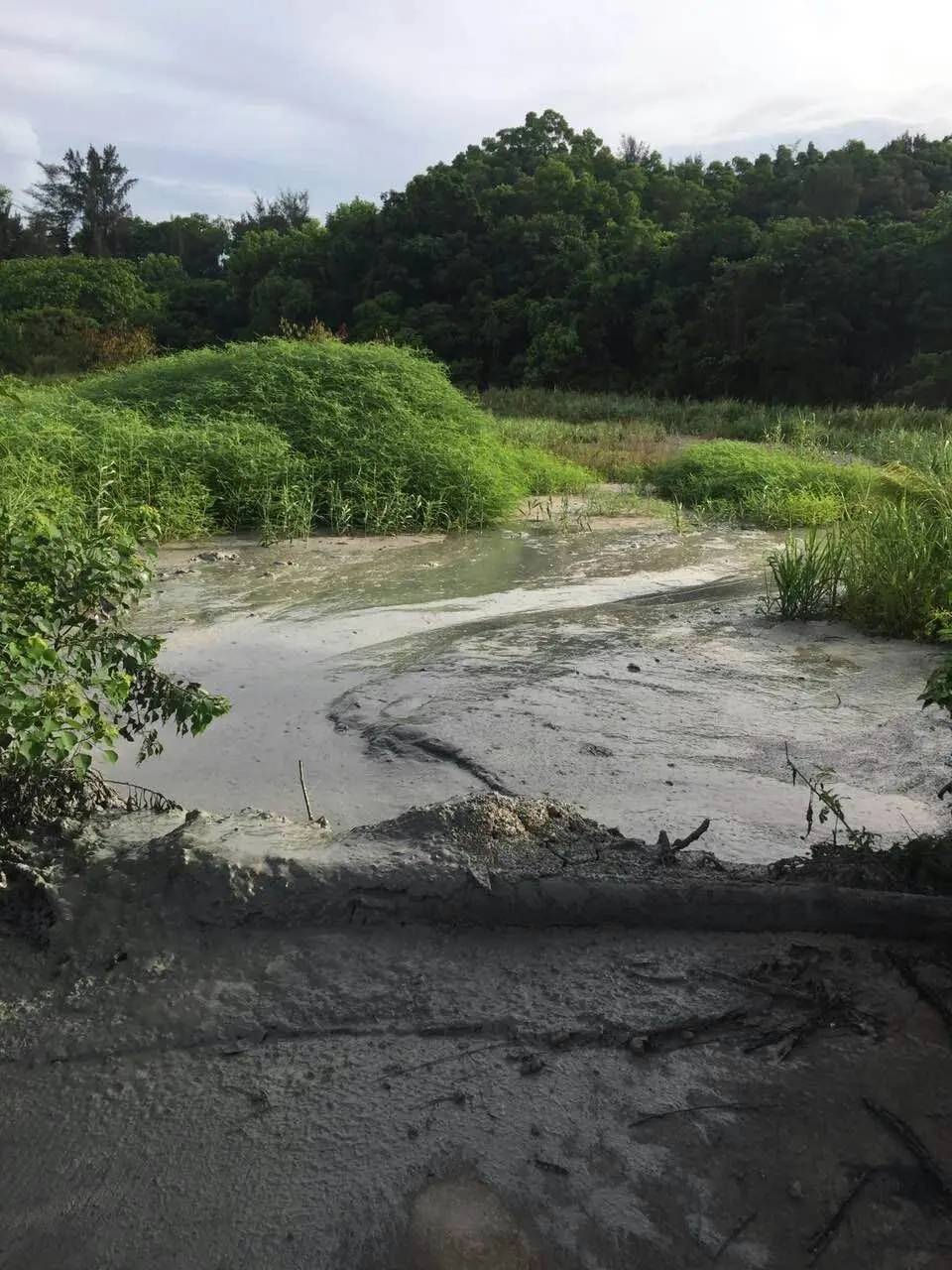 污泥固化處理設備對環保的實際意義