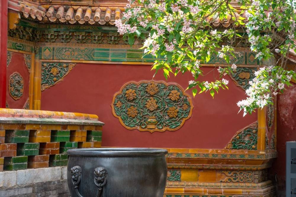 北京故宫御花园楸树花盛开 皇宫建筑衬托下格外美-搜狐大视野-搜狐新闻