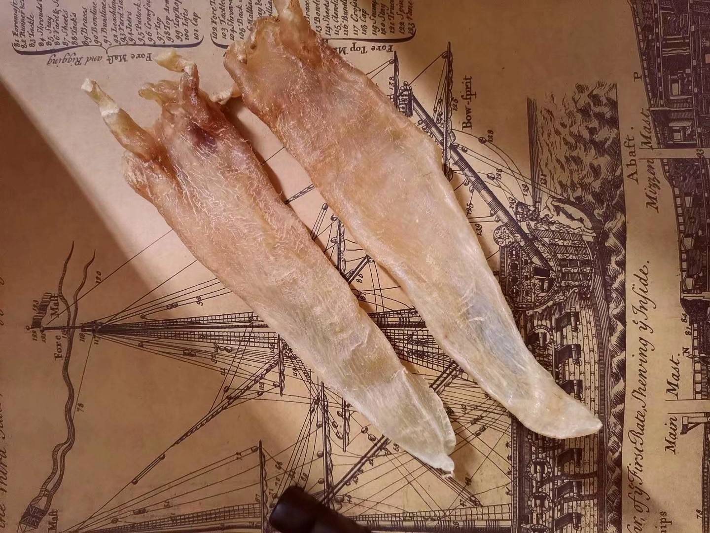 巴西北海鱼胶好坏鉴定