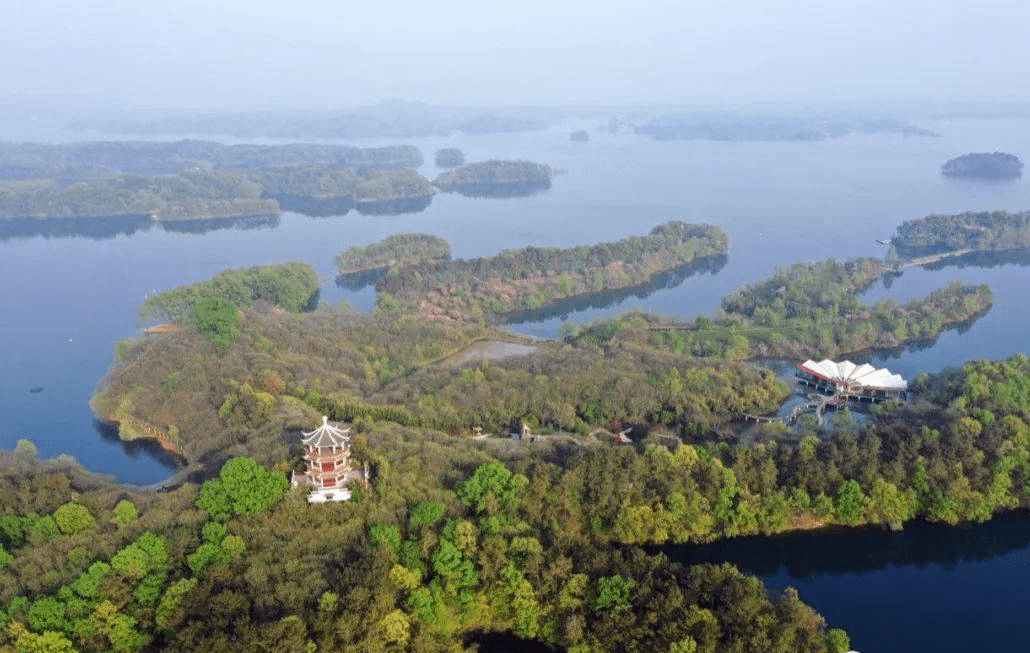 南湾湖鸟岛图片图片