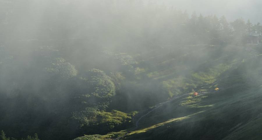五一后家电企业要抓住这一轮各地促消费的东风-家电圈官网