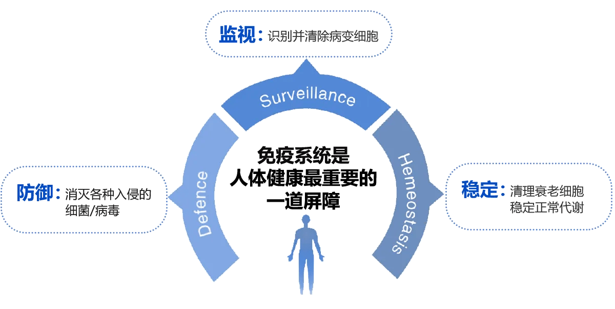 你关心的免疫细胞存储要点都在这里_人体_疾病_机体