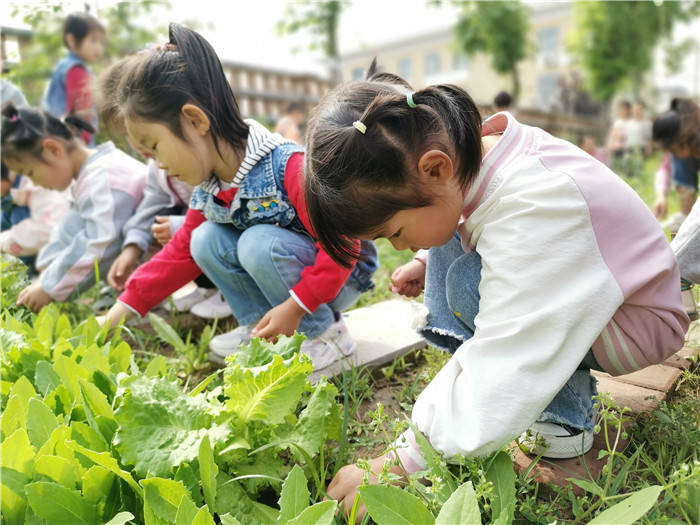 西安市鄠邑区第四幼儿园幼小衔接之劳动实践活动纪实_生活_小学_的