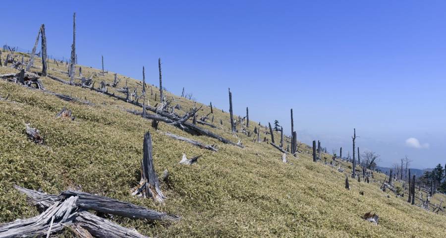 家电企业今年在市场竞争中要有“底线思维”-家电圈官网
