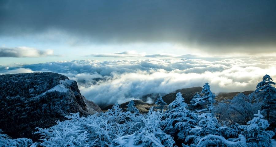 家电企业的品牌专卖店，今年能干啥，又怎么干？-家电圈官网