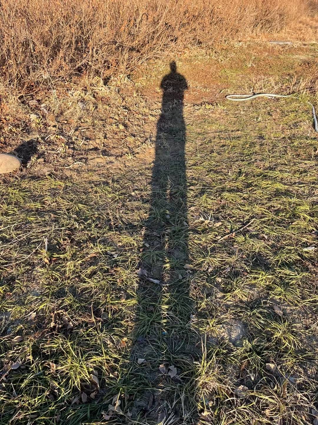 《晨跑有悟和字透着一股灵气》