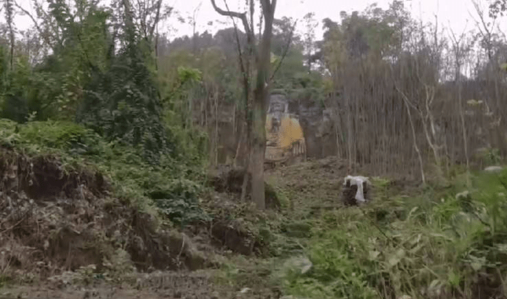 重庆合川铜溪镇可以跟乐山比拟的大佛，藏在深山老林里显得很神秘