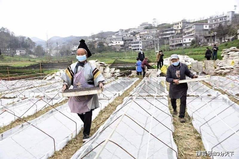 发展地方经济，贵州晴隆最北端旅游资源喜人