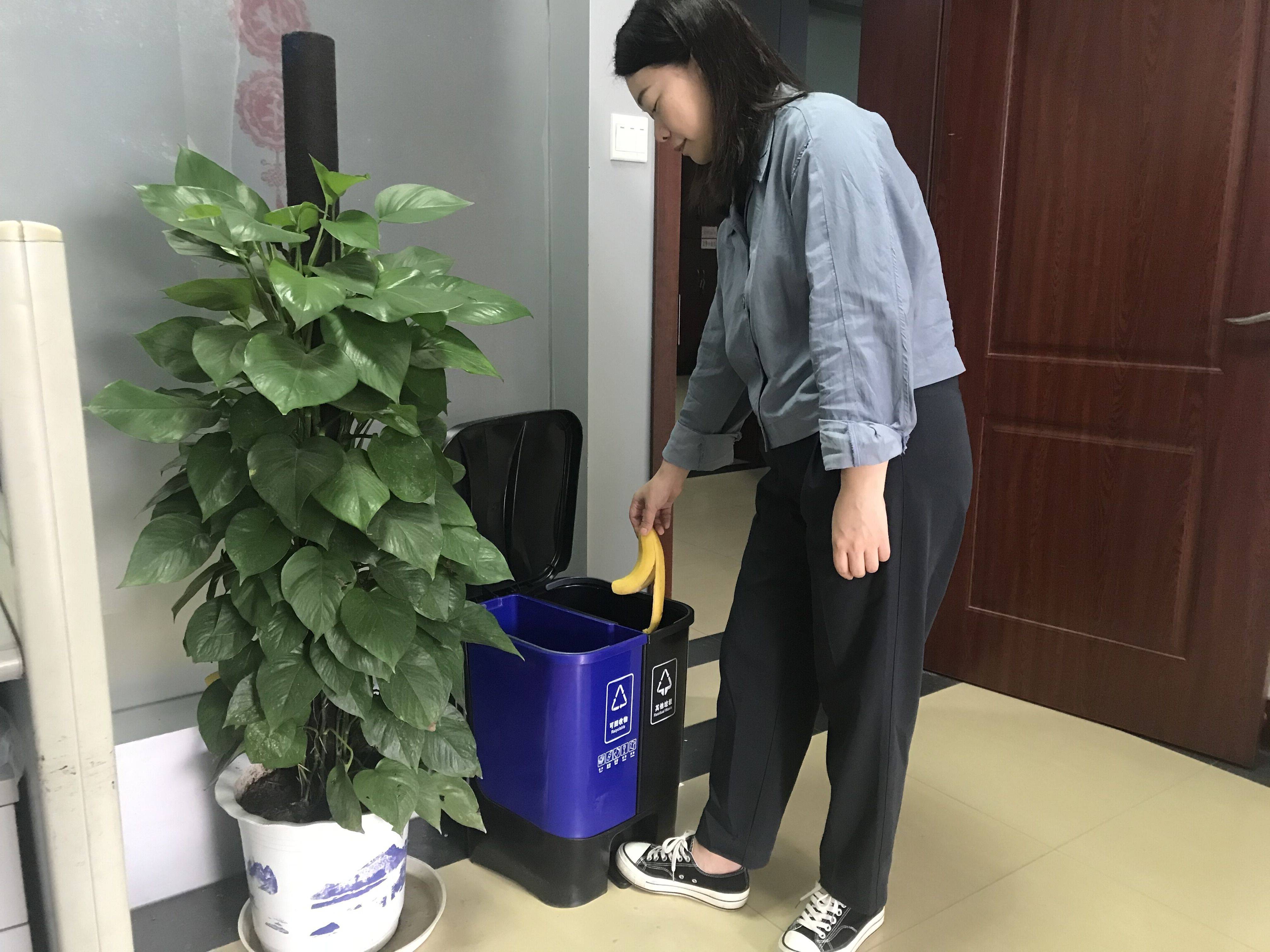 分类垃圾桶"飞入"泰和邮政办公室_员工_公司_环保