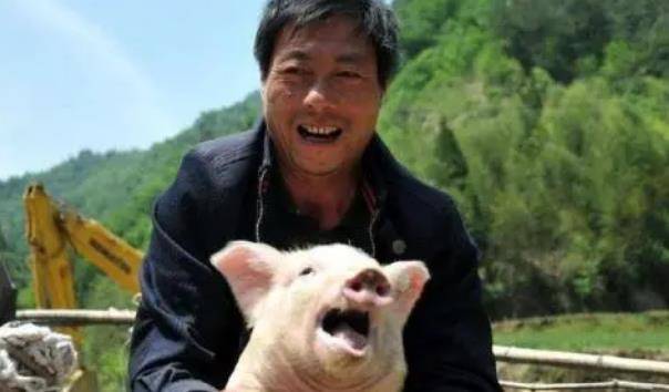 原创             一头猪赚几千的时候不说，一头亏两百就“委屈”，是养殖户矫情吗？