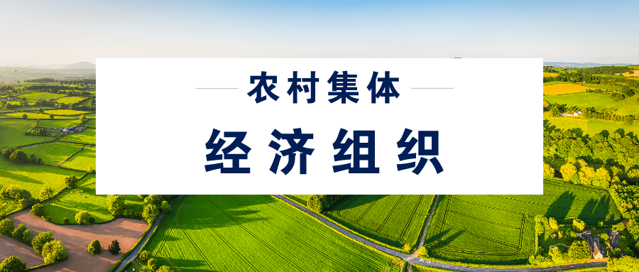 说说农村集体经济组织