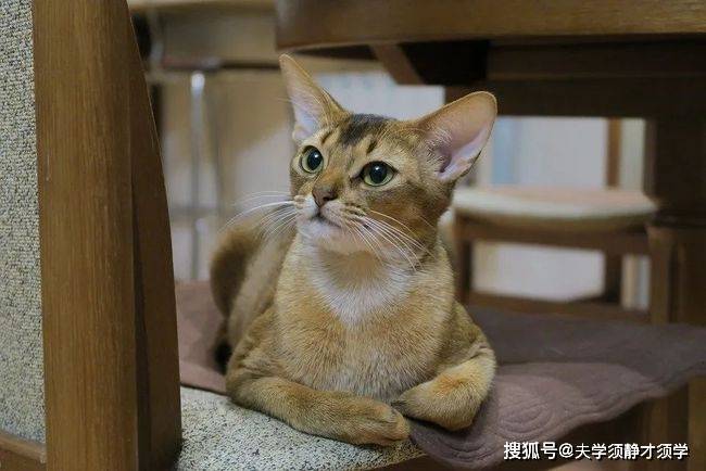 开心一刻:我想给女友买礼物,她说道:我什么都不要,只要你陪我!