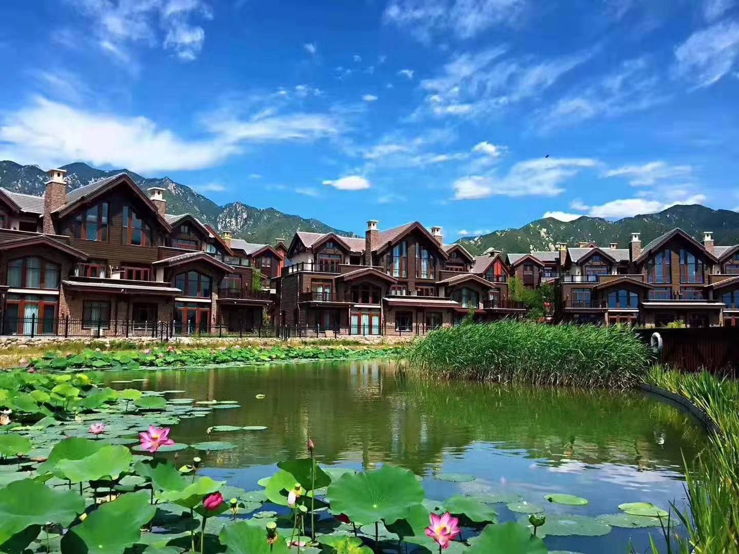 5月市场已筑底6月将检验城市和企业成色原乡美利坚奥伦达部落美如画